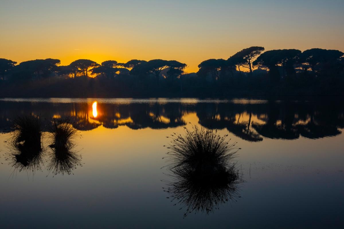 Pialassa della Baiona 2